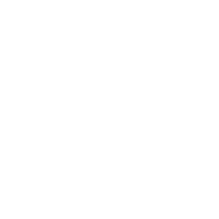 Gentle Digestion Support