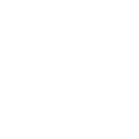 Easy Daily Movement