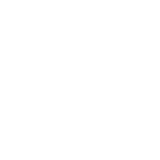 Slow Nerve Signals