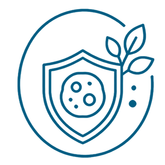 Shields Against Cellular Aging
