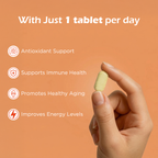 Nerve Support Bundle