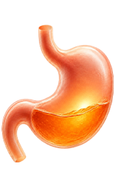 Rapid Relief for Bloating & Fullness